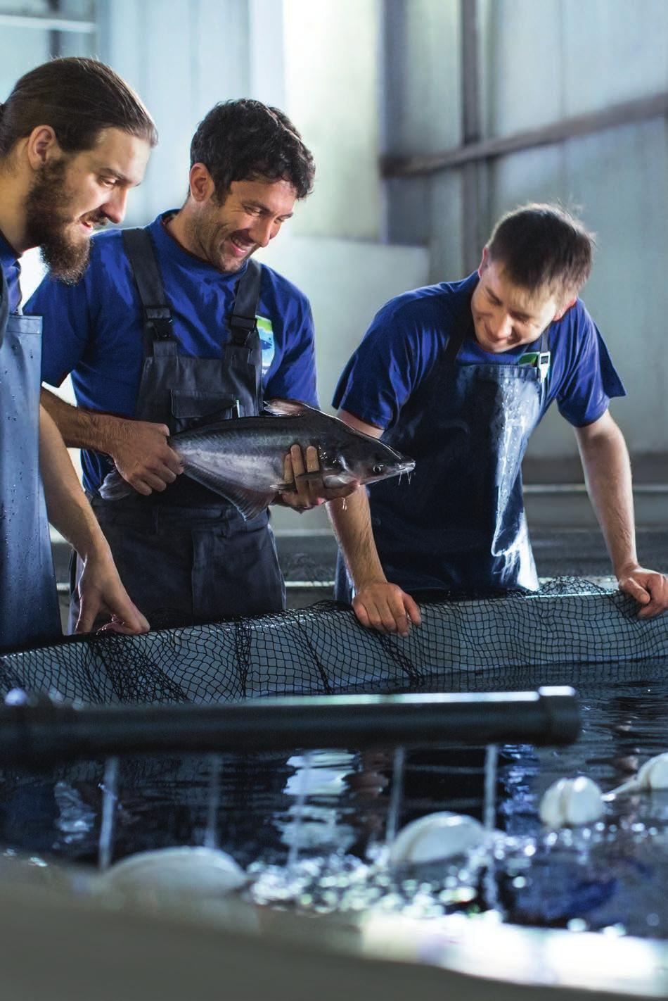 Fachmitarbeiter wie Oliver Mechler, Simon Kaufmann und Nick Zimmer kennen die Bedürfnisse aller Fische und deren Ansprüche an Wasserqualität und Fütterung. Wer hat s erfunden?