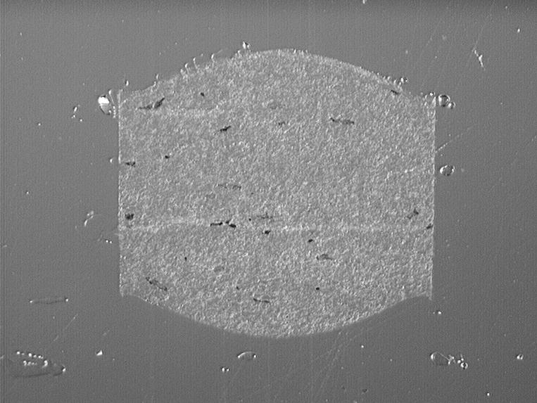 Richtung, der eingefügte Balken entspricht 300 µm Abbildung 6.