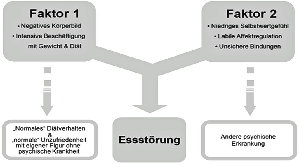 Das Zwei-Faktoren-Modell zur Entstehung von Essstörungen Quelle: Therapienetz Essstörung e. V.