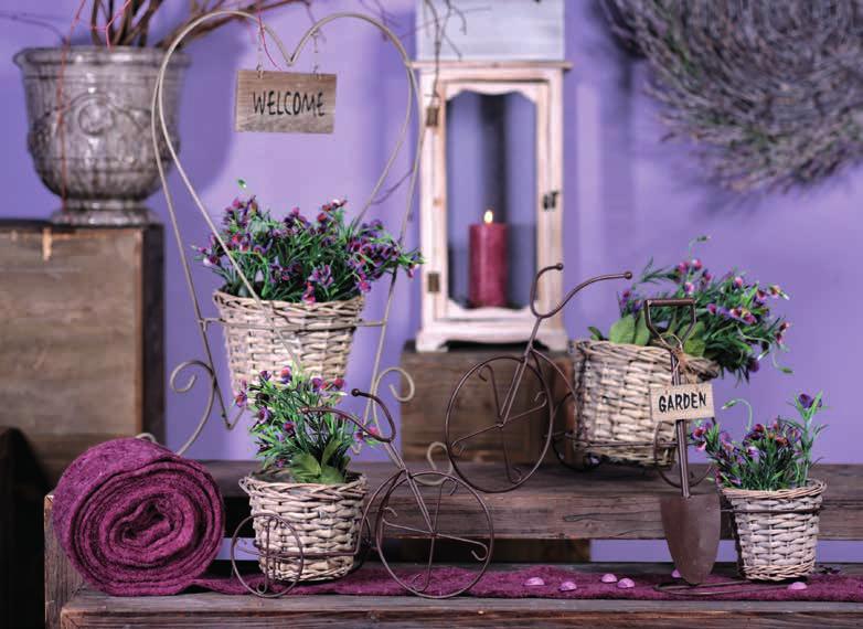 25 x 5 cm cm 304333 grau, 20 x 3 cm cm 304334 Zwiebel, Allium Arles purple, 50 cm 295505 5 Pflanzkorb