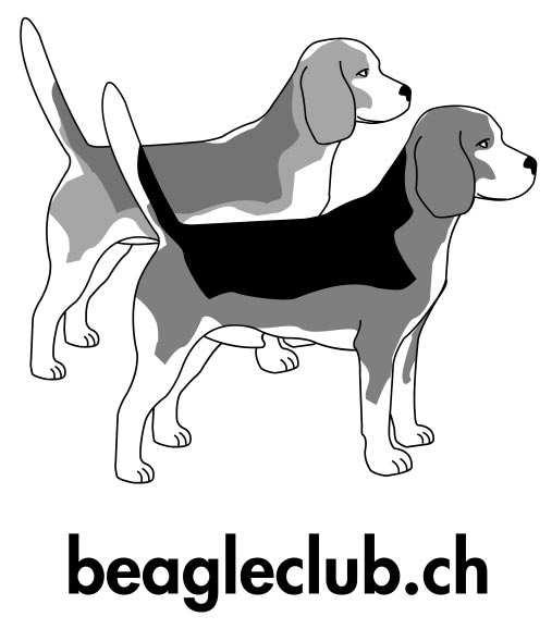 Ergänzende Zuchtbestimmungen (EZB) des Beagle Club Schweiz (BCS) zum