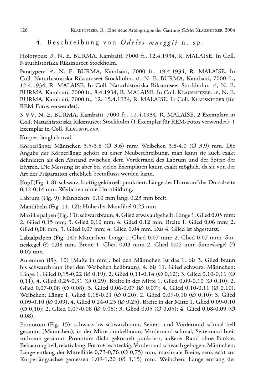 126 K l a u s n it z e r, B.: Eine neue Artengruppe der Gattung Odeles K l a u s n it z e r, 2004 4. Beschreibung von Odeles marggii n. sp. Holotypus: d1, N. E. BURMA, Kambaiti, 7000 ft., 12.4.1934, R.