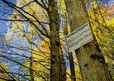 MADENHAUSEN NATUR ERLEBEN Experience pure nature Natur NSG Naturwaldreservat Wildacker Lage: nordwestlich von Madenhausen Fläche: ca.