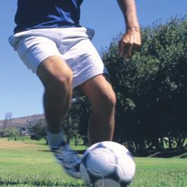 Dosierte körperliche Bewegung und Sport erhöhen durch Flüssigkeitsverschiebungen die Knorpeldicke um etwa 5 %.