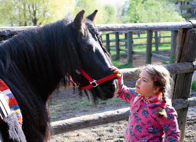 Rubrikentitel Thema Wie Pferde heilen können «Das Glück der Erde liegt auf dem Rücken der Pferde.» In diesem Sprichwort liegt viel Wahres.