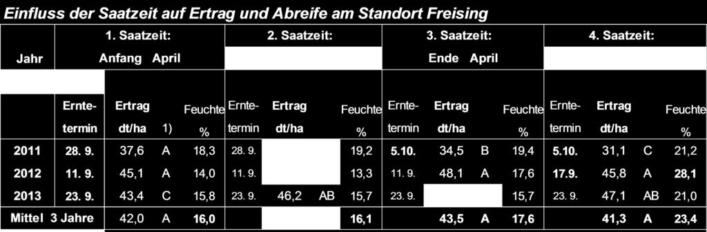 besten Reifeprobleme bei später Saat höhere