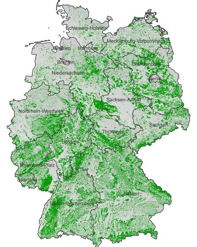 Einleitung Wald und Windenergienutzung in Deutschland