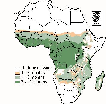 Abb.2: Malariatransmission in Afrika 8 1.3.2. Epidemiologie bei Schwangeren und Neugeborenen Unter den in Endemiegebieten Afrikas lebenden Frauen rechnet man jährlich mit mindestens 24 Millionen Schwangerschaften.