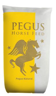Pegus Horse Feed unterstützt Sie dabei, Ihr Pferd optimal zu ernähren!