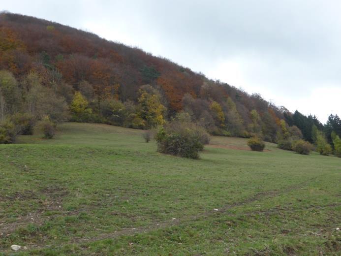 Landschaftserhaltungsverband Landkreis Göppingen e.v. Die Beweidung von Magerrasen im Magentäle bei Steinenkirch (NSG Eybtal), im Ulmer Tal (gepl.