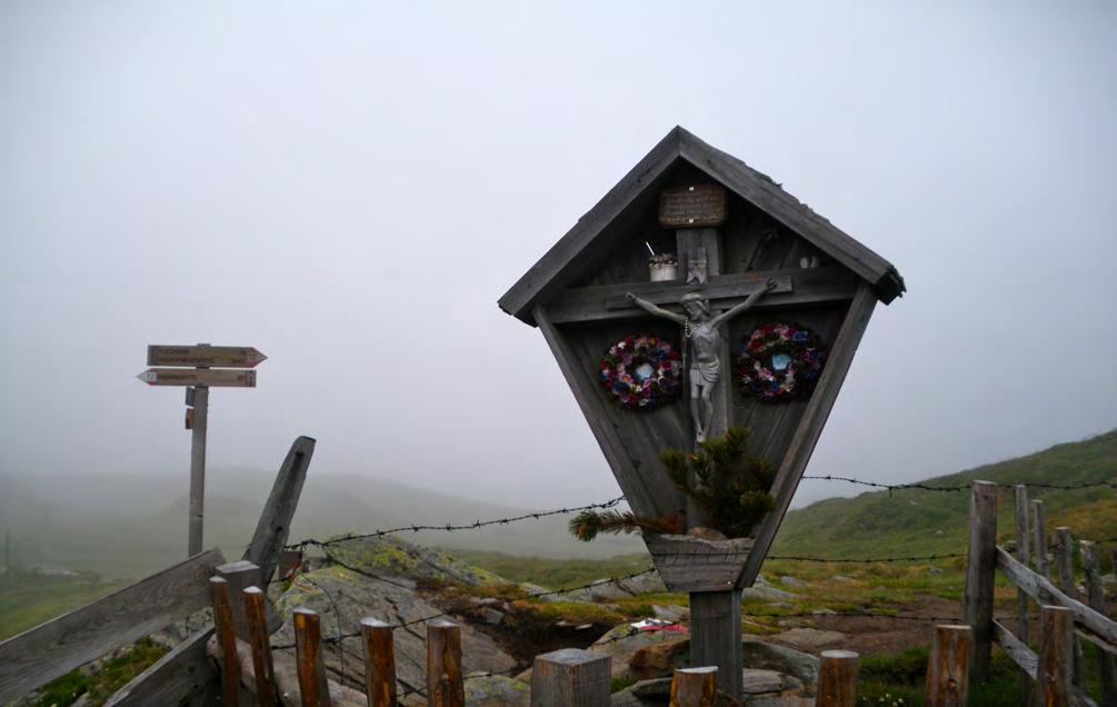 D - 2 RATSCHINGSTAL RINNERSATTEL GLAITNER HOCHJOCH (2.389m) Ausgangspunkt: Bergstation der Kabinenbahn (1.890m). Der Weg führt uns über blühende Almmatten hinauf zum Rinnersattel.