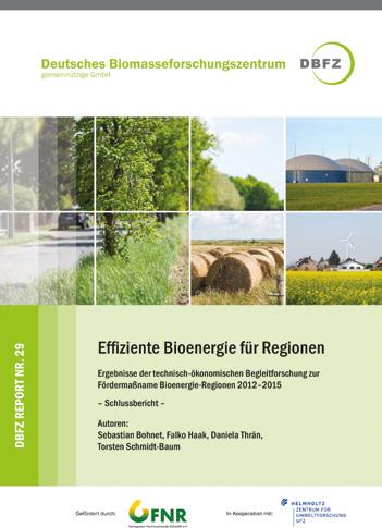 energetic and integrated use of biomass and witnessed their technical