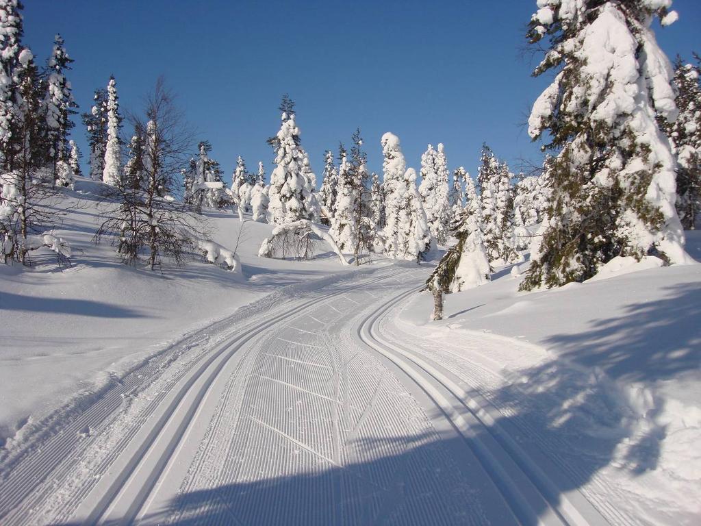 Lapplanddurchquerung mit Komfort im skating oder klassik Stil, mit Guide und Gepäcktransport Die Tour führt durch die vier bekanntesten Langlaufgebiete Lapplands und ist ideal für durchschnittliche