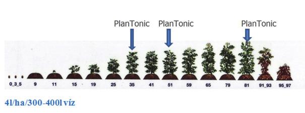 Betriebserfahrungen zeigen, dass das Präparat PlanTonic in das Technologieverfahren eingebunden die Kosten für Pflanzenschutz senken, die Ertragsmenge und Ertragsqualität verbessern kann.