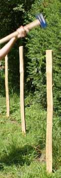 Doch warum verwendet man Robinie (Akazie) für Zaun- und Holzpfähle?