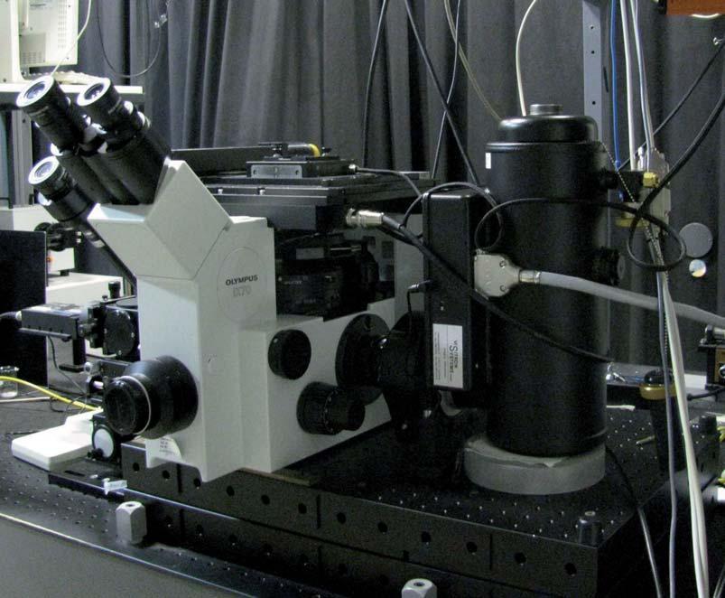 4 Fluoreszenzspektroskopische Methoden in STA-Puffer (siehe Kapitel 3.3) mit 50 μl Wasser auf einen Objektträger (PlanAPO 60 mm, N. A. 1.