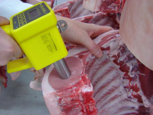 Fleischbeschaffenheit Säuregrad im Schinken- und im Kotelettmuskel 45 min und 24 h nach der Schlachtung (ph Wert Früherkennungsmerkmal für Fleischqualitätsmängel)