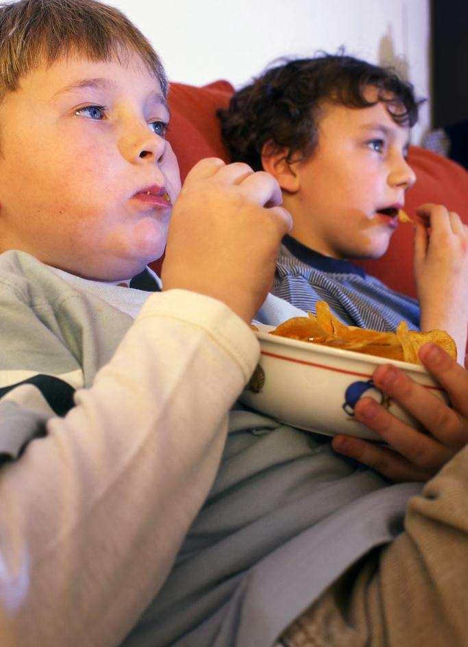 Fehlernährung 10-20 Prozent aller Kinder und Jugendlichen in Deutschland sind