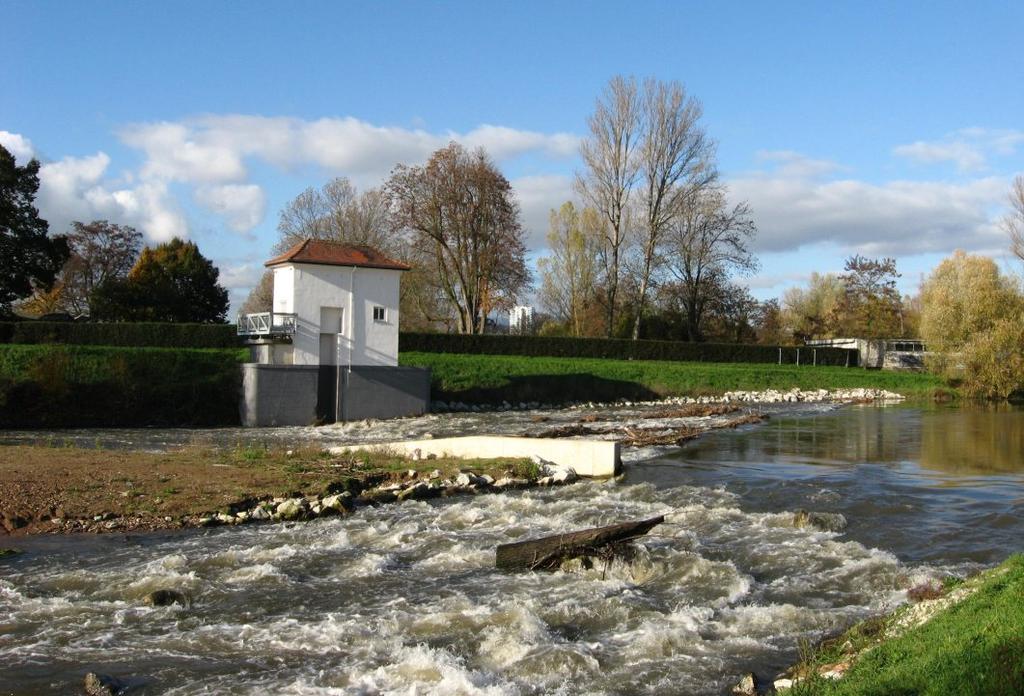 Nidda Höchster Wehr