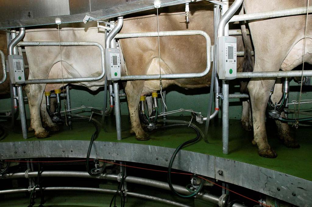 Bei Betrieben mit Melkstand, Betriebscomputer und elektronischer Tiererkennung können bei Anwendungen der alternierenden Prüfmethode zusätzlich zu dem vom Kontrolleur erhobenen Gemelk die Milchmengen