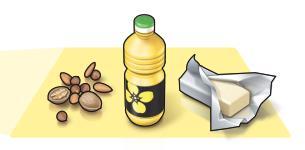Lebensmittelgruppe - Fette Empfehlung: Täglich 2-3 Esslöffel: Pflanzenöl (Raps-/Olivenöl) Täglich 20-30g: