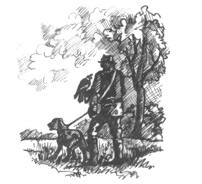 Falke, Pferd und Hund Falkner und Hund In der Anfangsphase des Abtragens ist es wichtig, stets auch schon den Hund mitzuführen, mit dem der Beizvogel später zusammen jagen soll.