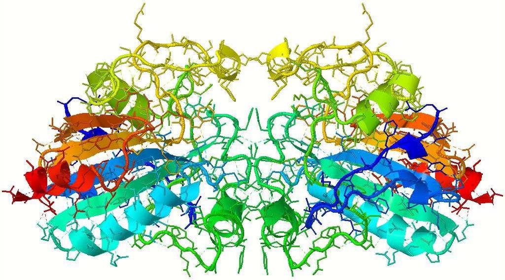 Abbildung 30: Räumliche Struktur der Glutathion Peroxidase. Bildquelle: www.cemgapedia.