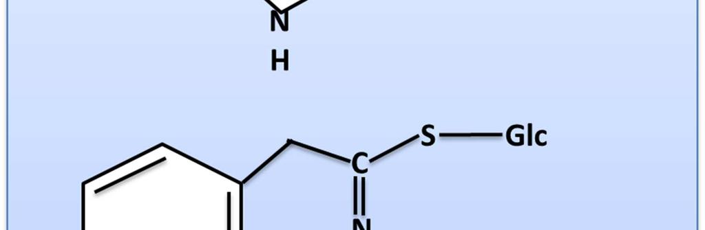 Der Zucker und die rechtsstehende chemische Struktur bleiben für alle Glucosinolate gleich (27).