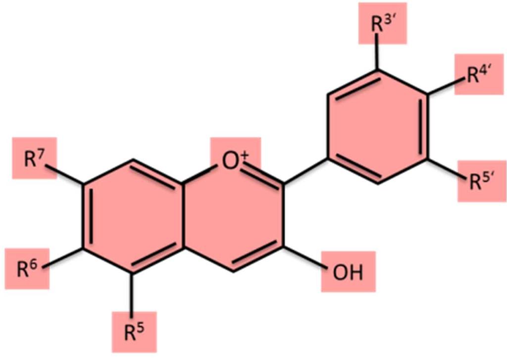 Anthocyane Abbildung 12: Allgemeine Strukturformel des Flavonoids Anthocyanin.