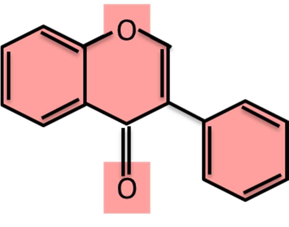 Da die Isoflavonoide zwar chemisch zu den Polyphenolen gehören, jedoch die Wirkungsweise der Phytoöstrogene aufweisen, werden