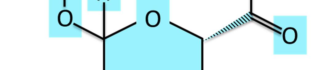 Die Flavonoidglycoside welche nicht im Dünndarm aufgenommen werden, wandern in den Dickdarm, wo sie durch die Dickdarmbakterien gespalten und die freien Flavonoide aufgenommen werden.