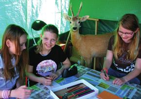 Natur & Umwelt Hegering informiert während des Frühjahrsmarktes über Wildbret Kinder malen Wildtiere und gewinnen Die Reviere im Hegering Amelinghausen zählen zu den wildreichsten im Landkreis