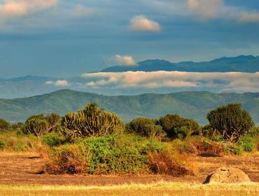 Tag: Fahrt zum Lake Mburo-Nationalpark Ihr heutiges Ziel ist der Lake Mburo-Nationalpark, eine mit Felsen, trockenen Hängen, Savannen, Wäldern, Hügeln und Sümpfen extrem vielseitige Landschaft.