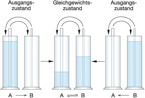 ), Chemie heute SII, Schroedel, Braunschweig, 2009) Tauschhandel Ein Mann und ein Junge tauschen Kugeln. Bei jedem Zug zählen sie den festgelegten Bruchteil ihres Besitzes ab.