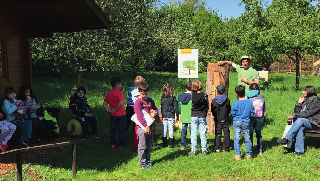 Rapp s Natur-Erlebnis-Garten Karben BIENENBOTSCHAFT macht Schule in Rapp s Natur-Erlebnis-Garten