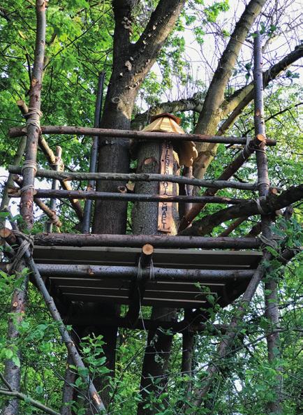 Die Klotzbeute der BIENENBOTSCHAFT ist auf einem Naturgerüst in 6 Metern Höhe an einem Baum