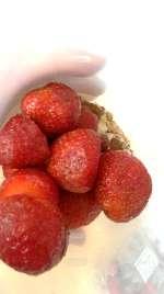 (ca. 500ml) in den Mixer geben 10-15 frische Erdbeeren