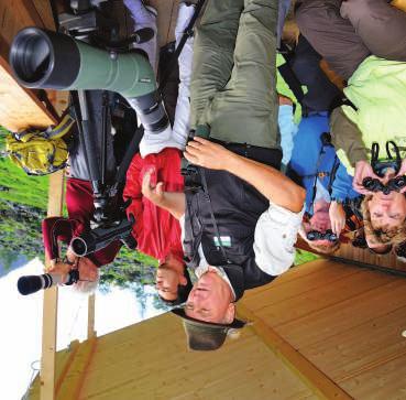 HABACHTAL Wildtiersafari Ein erfahrener Nationalpark-Berufsjäger begleitet die Teilnehmer zum Beobachtungsstützpunkt im hinteren Habachtal.