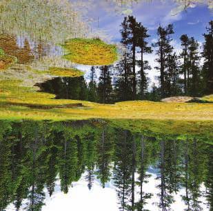 NATIONALFEIERTAG, 26. OKTOBER 2014 Nationalfeiertags-Wanderung Anlässlich des Nationalfeiertags lädt der Nationalpark Hohe Tauern zu einer geführten Exkursion in den Wiegenwald ein.