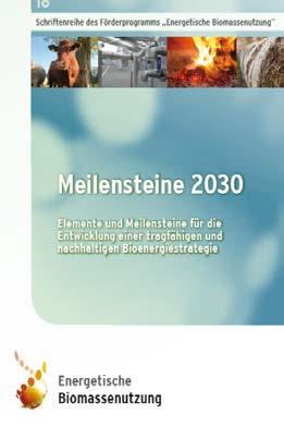 Bioenergie in der Bioökonomie BMWi-Studie Meilensteine 2030 : Nachhaltige Landnutzung ist Voraussetzung Monitoring von Landnutzung, Kohlenstoffinventaren und Treibhausgasemissionen ist im Rahmen der