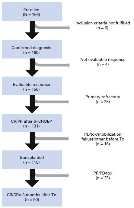 ALCL ALK neg: benefit of planned upfront autologous SCT (NLG-T-01) 6x CHOEP-14/CHOP-14, BEAM + auto tx n 160 90 9 relapse > 2 years: 5