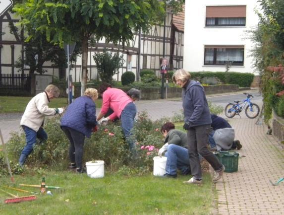 Es wurden Pflegearbeiten am Dohlsbrunnen und am Kriegerdenkmal durchgeführt. Die öffentlichen Rosenbeete im Dorf sind gepflegt worden.