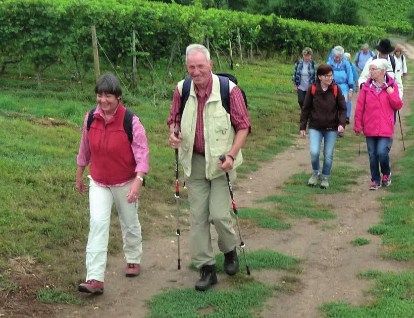 Wandern Wanderjahr 2018 erwartet uns Wanderplan 2018 Von Hans Steinbach Wandern ist vielerlei: Freizeitspaß, Gesundheitsförderung, sanfter Natursport, nachhaltiger Tourismus Diese Reihe ließe sich