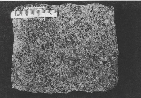 Geologie der Zinnerzlagerstätte Abb. 19a: Quarzporphyr - Makrobild - Einsprenglingreicher Faziestyp IIIa, Erkundungsstrecke 723 Abb. 19b: Quarzporphyr - Mikrobild (Vergrößerung ca.