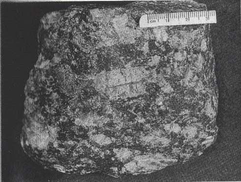 Geologie der Zinnerzlagerstätte Abb. 20: Granitporphyr - Makrobild - Normaltyp II, Orthoklas-Idioblasten mit z. T.