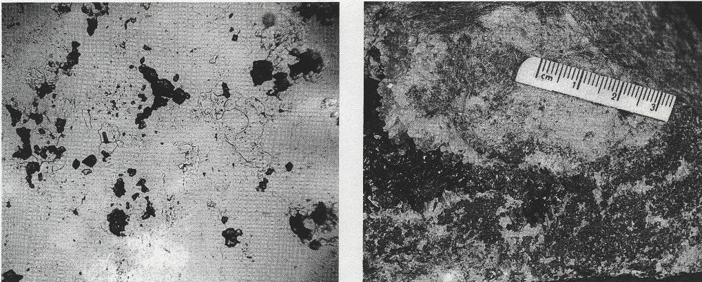 Quarz (weiß) Topas (hohes Relief), Kassiterit (schwarz) Topas ist auch in drei Generationen mikroskopisch identifizierbar.