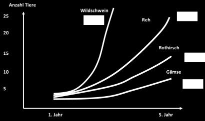 Abb. 2. Entwicklung eines Bestandes ohne Sterblichkeit nach fünf Jahren aufgrund ihrer durchschnittlichen Nachwuchsrate (Quelle: Jagen in der Schweiz).