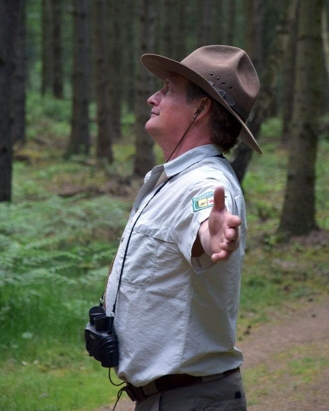 Nationalparkamt Müritz lädt zur meditativen Wanderung durch die Buchenwälder ein Jeder, der durch einen Wald geht, nimmt ihn auf seine eigene Weise wahr.