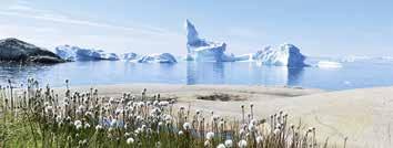 22 80 NORD NORDOST- GRÖNLAND 12 Tage MS ROALD AMUNDSEN Reisetermin: 26.07. 06.08.2019 Besuchen Sie mit uns den größten Fjord der Welt, der sich 350 Kilometer weit ins Lan des innere Grönlands zieht.