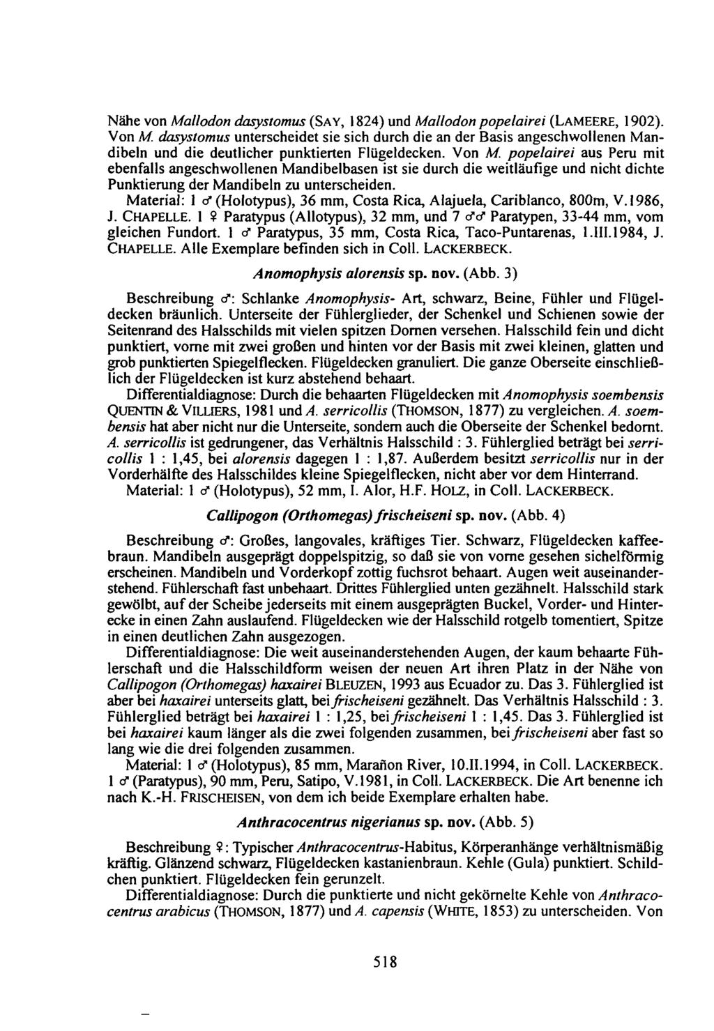 Nähe von Mallodon dasystomus (SAY, 1824) und Mallodon popelairei (LAMEERE, 1902). Von M.